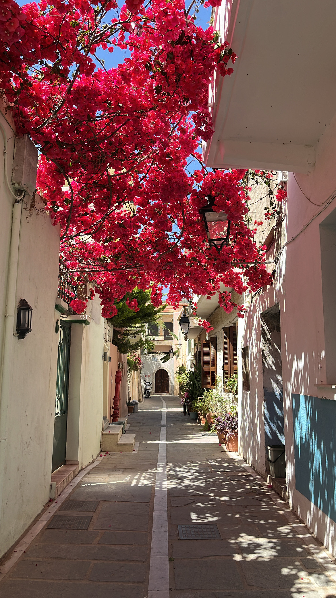 Picturesque narrow street in Old Twn Rethymno with pink flower tree