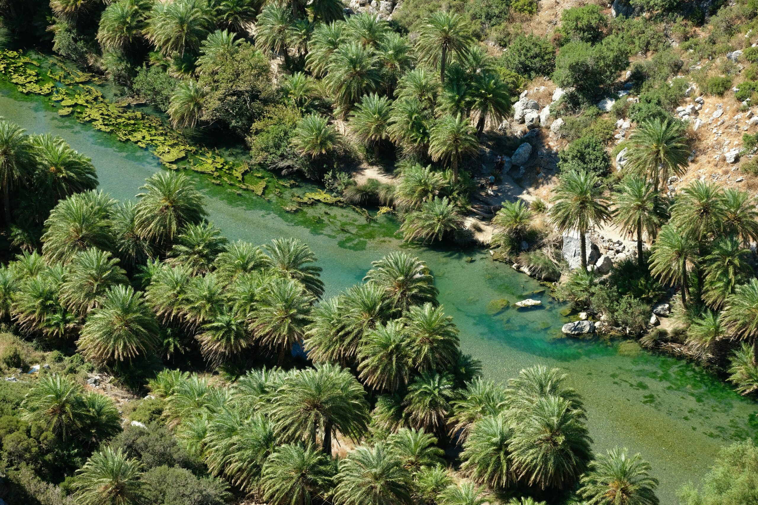 Preveli beach lagoon and palm trees