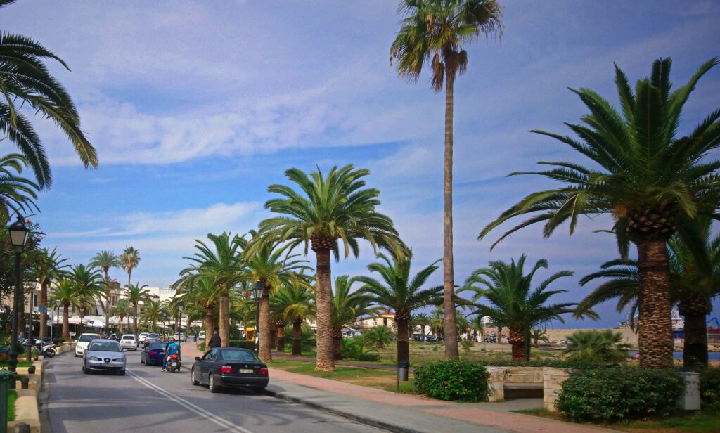 Rethymno Crete Boardwalk with Palm Trees
