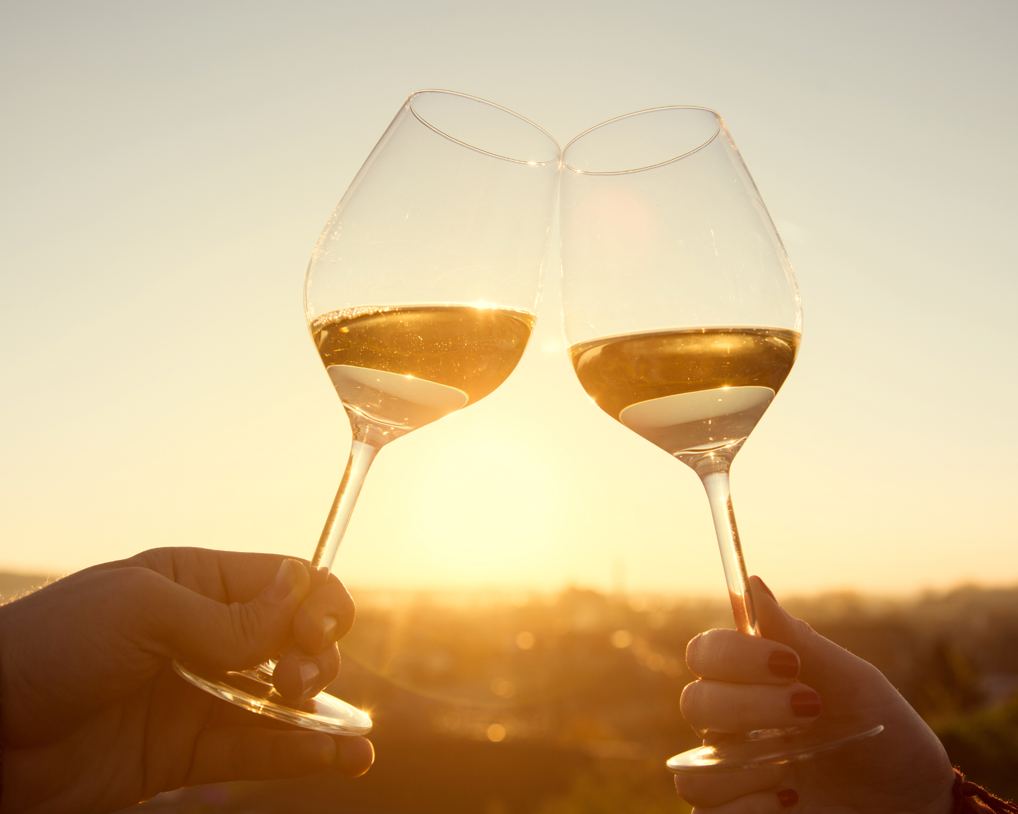 Vineyard Tours Rethymno