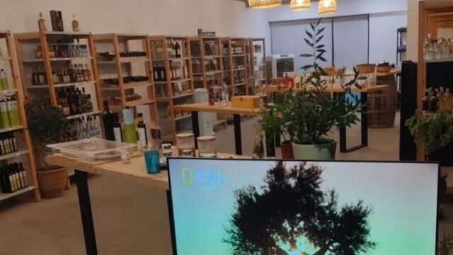 33B771C9-5BFB-4062-BED3-C6B519A390CF