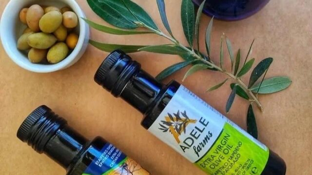 BC7F911F-C402-48A6-896F-DA9585B59E19