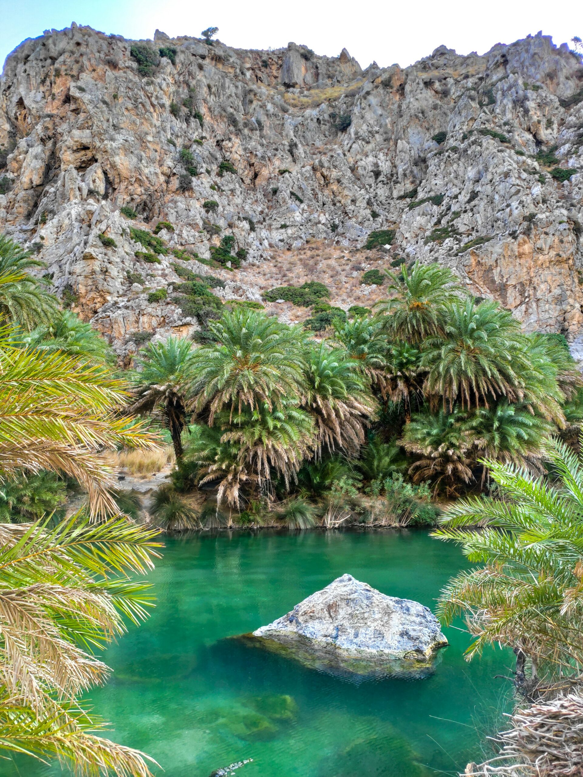 View of Preveli Beach palm forest in Rethymno Crete
